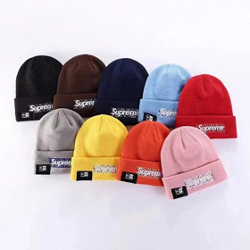 Supreme Embroidered Warm Knit Hat-4995